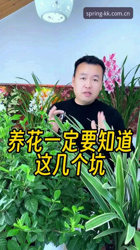春第一版官网登录入口评测：别急着下载，先看清这几个坑